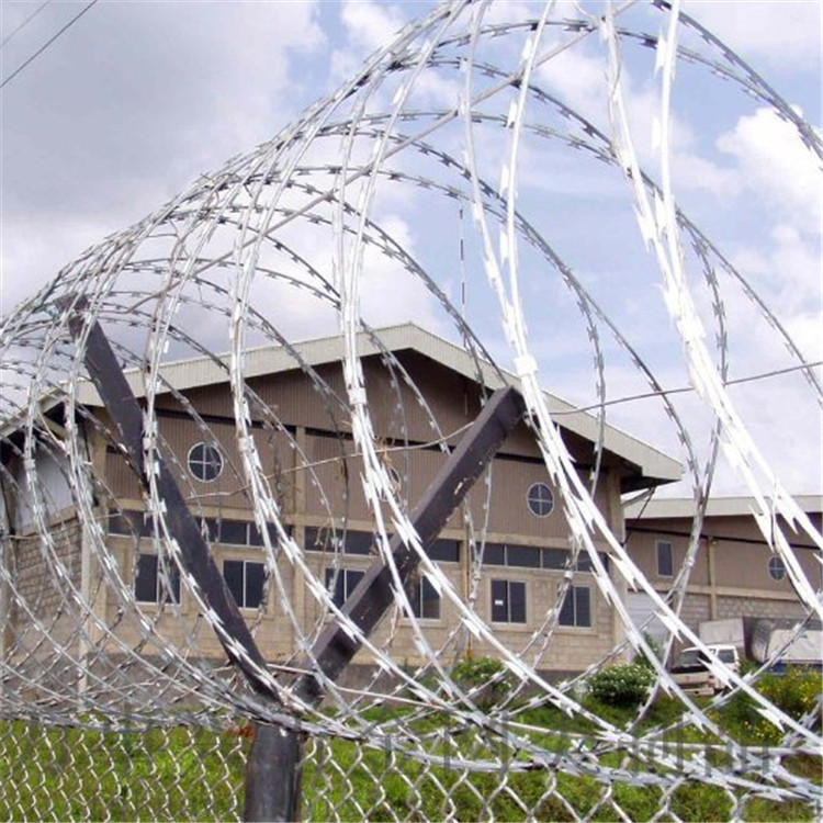 刀刺網案例展示圖片2