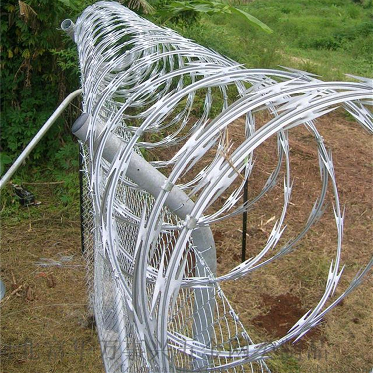 刀刺網案例展示圖片4