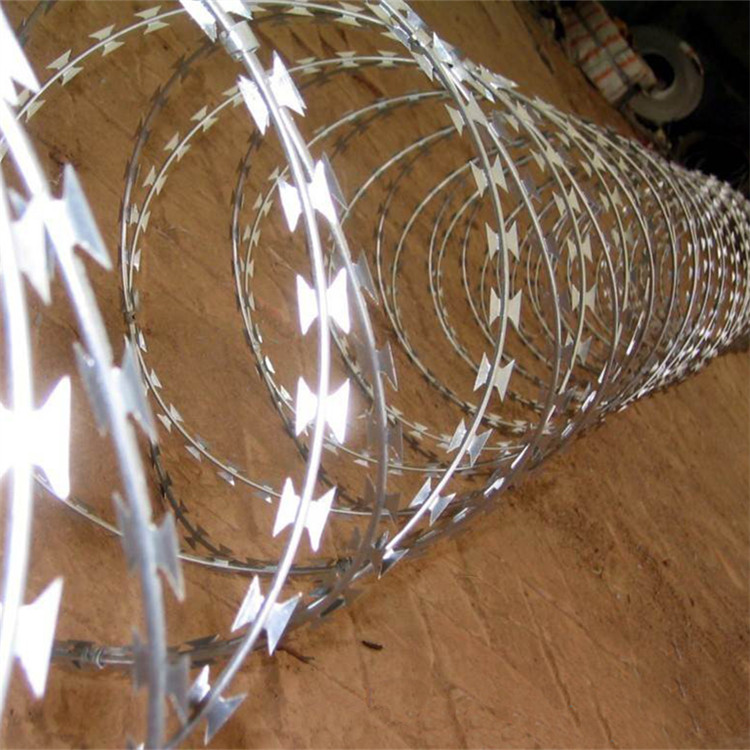 不銹鋼刀刺網案例展示圖片3