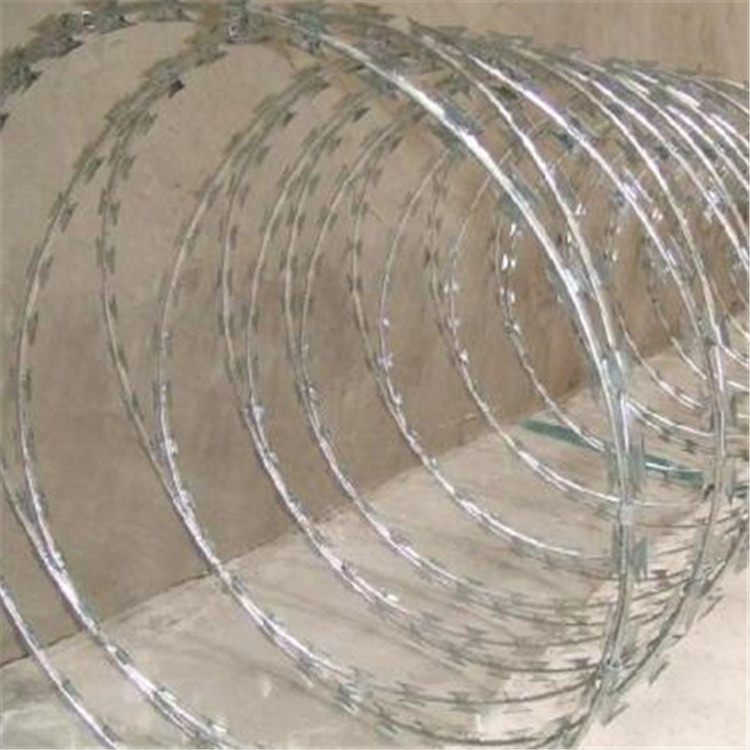 螺旋刀刺網案例展示圖片3